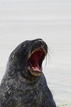 IMG_5792