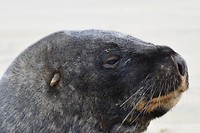 IMG_5840