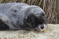 IMG_5852