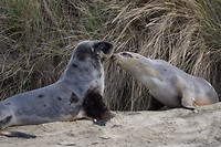 IMG_5875