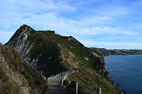 IMG_5912