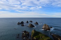 IMG_5917