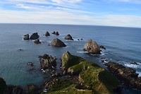 IMG_5924