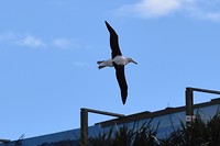 IMG_5955