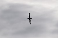 IMG_5960