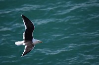IMG_5969