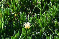 IMG_5971