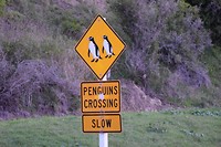 IMG_5984