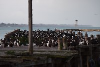 IMG_5988