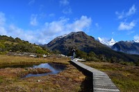 IMG_6217