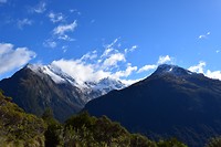 IMG_6241