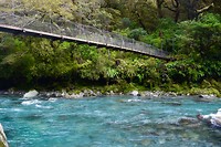 IMG_6255