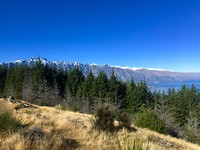 IMG_6311
