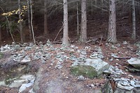 IMG_6381