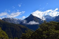 IMG_6208