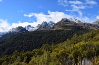 IMG_6238