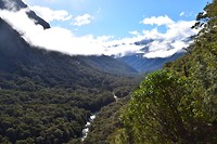 IMG_6252