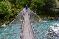 IMG_6259