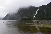 IMG_6291