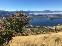 IMG_6396