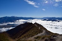 IMG_6478