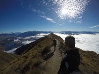 IMG_6529