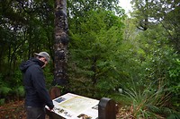 IMG_6804