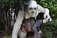 IMG_6807