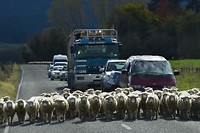 IMG_6856