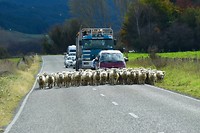 IMG_6857