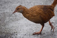 IMG_6860