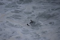IMG_6863