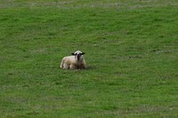IMG_6864