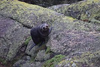 IMG_6865