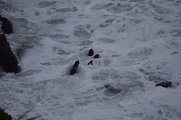 IMG_6869