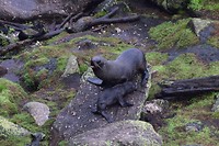 IMG_6909