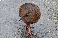 IMG_6914