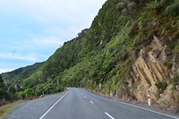 IMG_6919