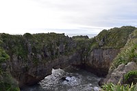 IMG_6921