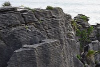 IMG_6922