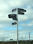 IMG_6937