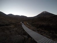 IMG_6995