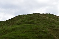 IMG_7020