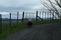 IMG_7021