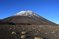 IMG_7082
