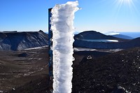 IMG_7104