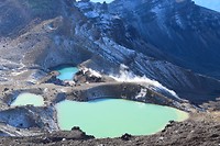 IMG_7113