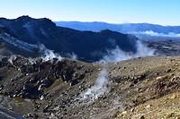 IMG_7146