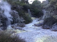 IMG_7230
