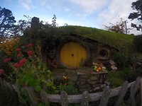 IMG_7275